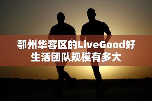 鄂州华容区的LiveGood好生活团队规模有多大