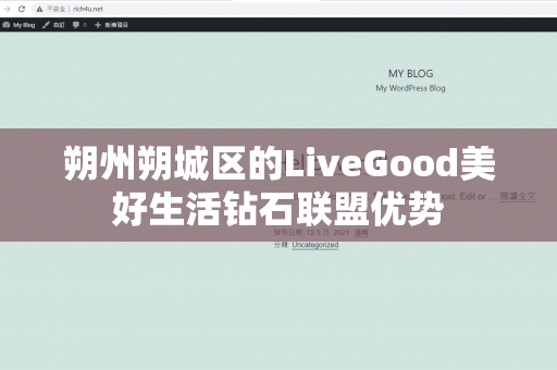 朔州朔城区的LiveGood美好生活钻石联盟优势