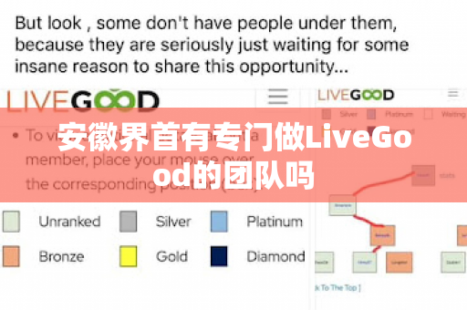 安徽界首有专门做LiveGood的团队吗